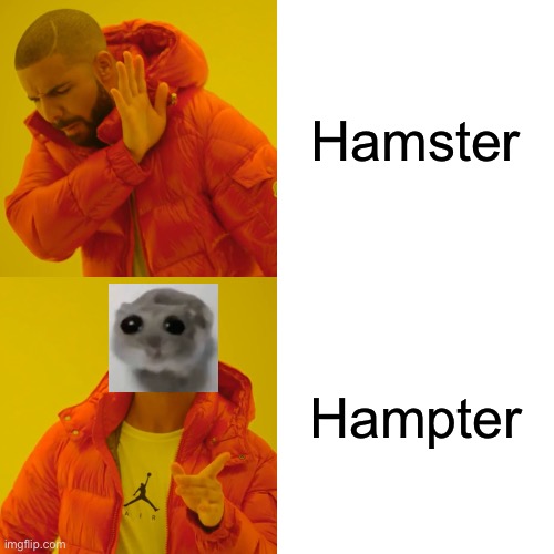 Drake Hotline Bling Meme | Hamster; Hampter | image tagged in memes,drake hotline bling | made w/ Imgflip meme maker