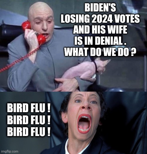 Rearrange the Vote | BIDEN'S LOSING 2024 VOTES AND HIS WIFE IS IN DENIAL .
WHAT DO WE DO ? BIRD FLU !
BIRD FLU !
BIRD FLU ! | image tagged in dr evil and frau,fraud,leftists,liberals,democrats,2024 | made w/ Imgflip meme maker