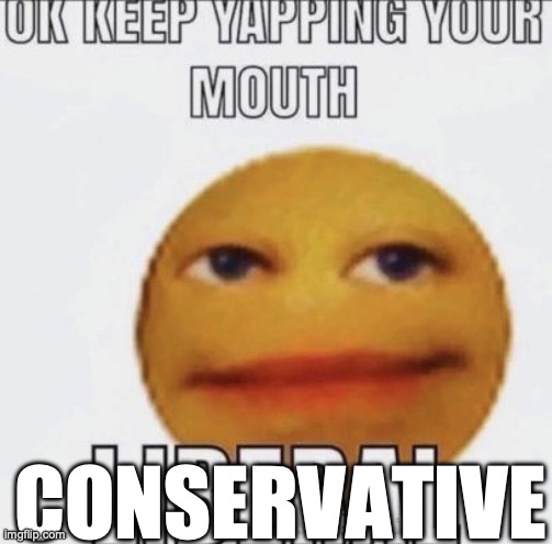 ok keep yapping your mouth LIBERAL | CONSERVATIVE | image tagged in ok keep yapping your mouth liberal | made w/ Imgflip meme maker