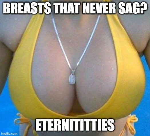 Firm | BREASTS THAT NEVER SAG? ETERNITITTIES | image tagged in boobs | made w/ Imgflip meme maker