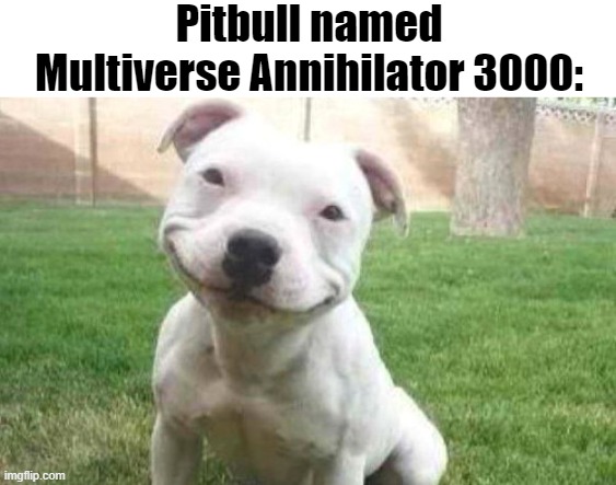 Smiling Pitbull | Pitbull named Multiverse Annihilator 3000: | made w/ Imgflip meme maker