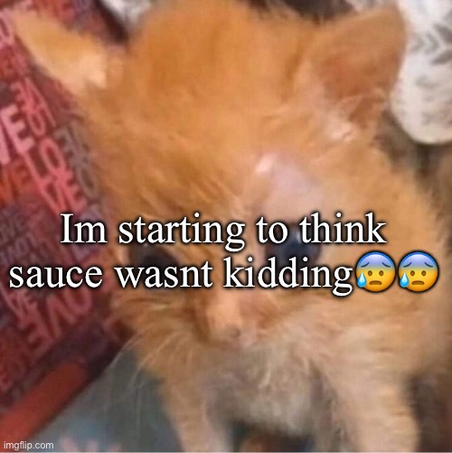 skrunkly | Im starting to think sauce wasnt kidding😰😰 | image tagged in skrunkly | made w/ Imgflip meme maker