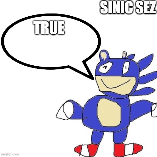 sinic sez | TRUE | image tagged in sinic sez | made w/ Imgflip meme maker