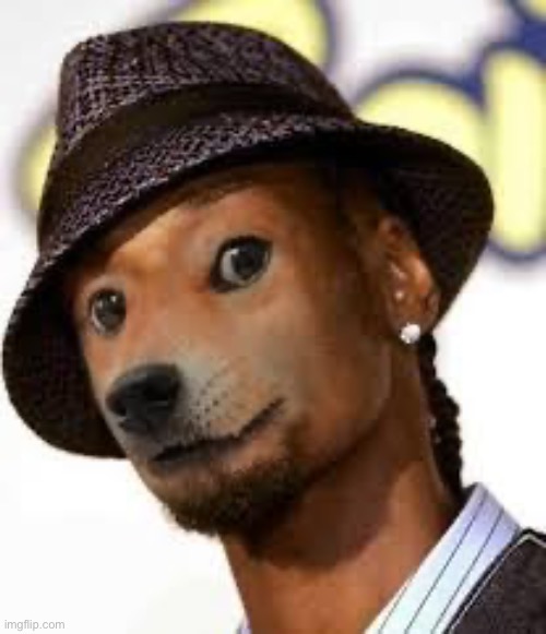 Snoop doge | image tagged in snoop doge jipgpg | made w/ Imgflip meme maker