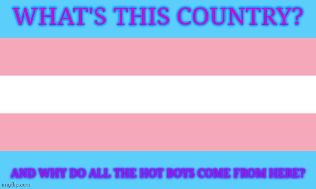 I need to know | WHAT'S THIS COUNTRY? AND WHY DO ALL THE HOT BOYS COME FROM HERE? | image tagged in trans flag | made w/ Imgflip meme maker