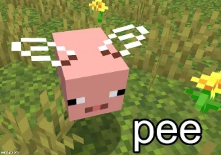 Pig bee | image tagged in pig bee | made w/ Imgflip meme maker