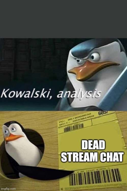 Kowalski Analysis | DEAD STREAM CHAT | image tagged in kowalski analysis | made w/ Imgflip meme maker