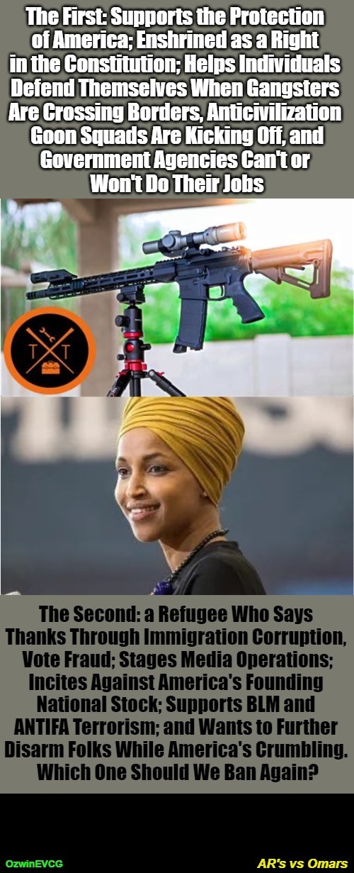 AR's vs Omars [NV] | image tagged in ilhan omar,ar-15,occupied usa,self-defense,real talk,civilization | made w/ Imgflip meme maker