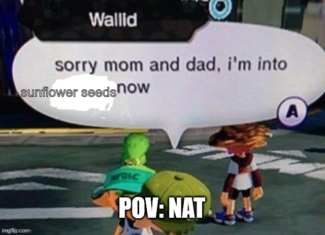 Sorry mom and dad I'm into X now | sunflower seeds; POV: NAT | image tagged in sorry mom and dad i'm into x now | made w/ Imgflip meme maker