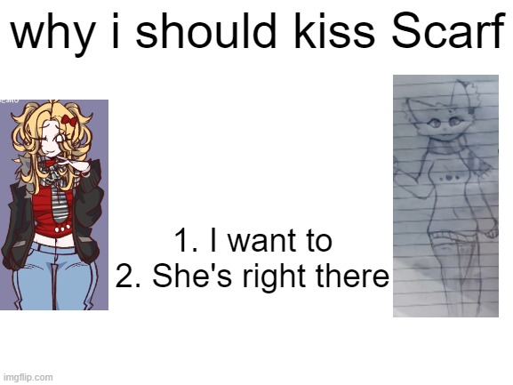 lol | why i should kiss Scarf; 1. I want to
2. She's right there | image tagged in blank white template | made w/ Imgflip meme maker