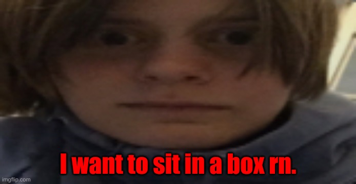 mood | I want to sit in a box rn. | image tagged in darthswede silly serious face | made w/ Imgflip meme maker