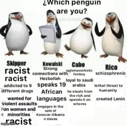 Skipper fr | image tagged in the penguins of madagascar | made w/ Imgflip meme maker