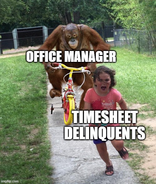 chasing down timesheets | OFFICE MANAGER; TIMESHEET DELINQUENTS | image tagged in orangutan chasing girl on a tricycle,timesheet reminder,timesheet meme,timesheet,timesheets | made w/ Imgflip meme maker