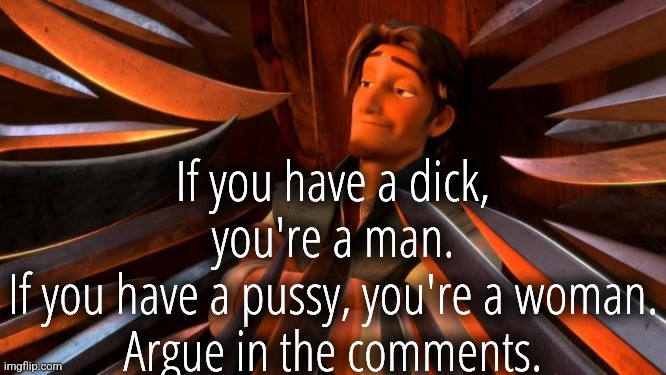 Flynn rider swords | If you have a dick, you're a man.
If you have a pussy, you're a woman.
Argue in the comments. | image tagged in flynn rider swords | made w/ Imgflip meme maker