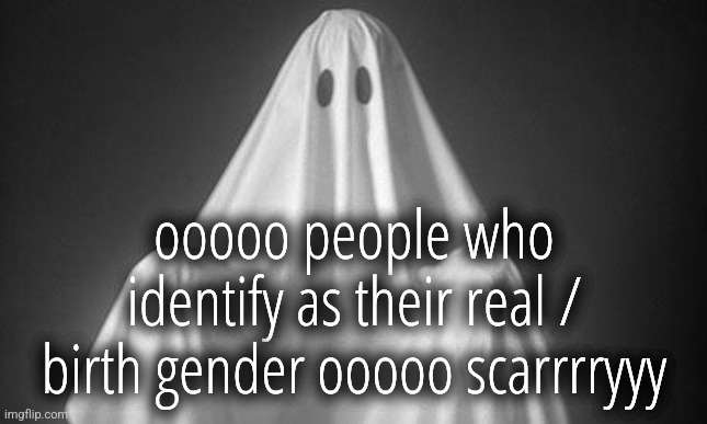 Ghost | ooooo people who identify as their real / birth gender ooooo scarrrryyy | image tagged in ghost | made w/ Imgflip meme maker
