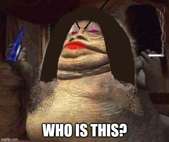 Guess who this is... | WHO IS THIS? | image tagged in msmg | made w/ Imgflip meme maker
