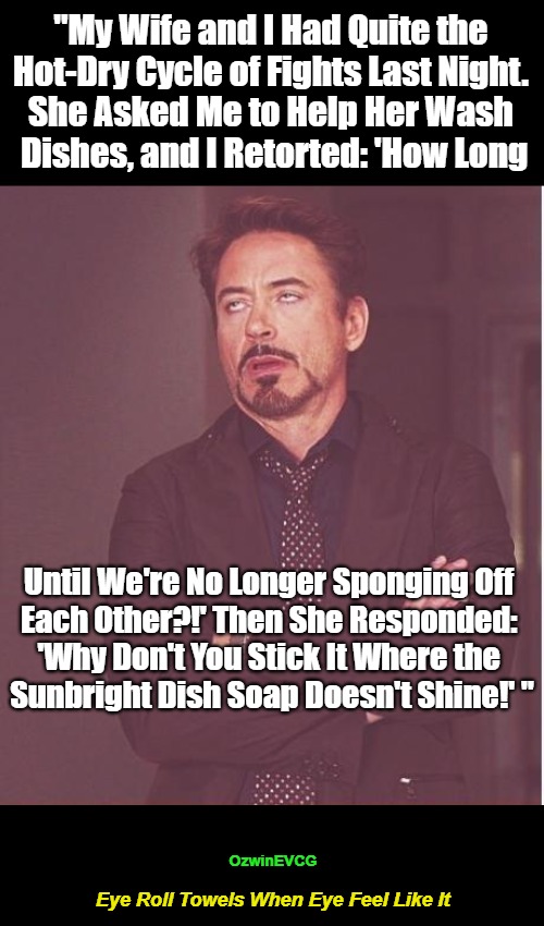 Eye Roll Towels When Eye Feel Like It | "My Wife and I Had Quite the 

Hot-Dry Cycle of Fights Last Night. 

She Asked Me to Help Her Wash 

Dishes, and I Retorted: 'How Long; Until We're No Longer Sponging Off 

Each Other?!' Then She Responded: 

'Why Don't You Stick It Where the 

Sunbright Dish Soap Doesn't Shine!' "; OzwinEVCG; Eye Roll Towels When Eye Feel Like It | image tagged in punning amok,unpaid product placement,face you make,cleaning,annoying robert,men and women | made w/ Imgflip meme maker