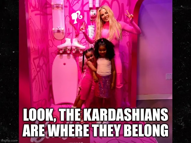 plastic | LOOK, THE KARDASHIANS ARE WHERE THEY BELONG | image tagged in this is where i'd put my trophy if i had one | made w/ Imgflip meme maker