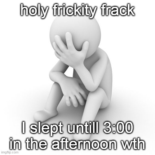 Depressed Stickman | holy frickity frack; I slept untill 3:00 in the afternoon wth | image tagged in depressed stickman | made w/ Imgflip meme maker