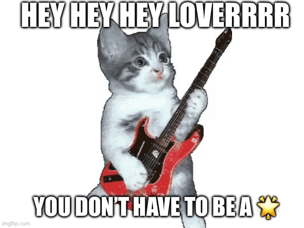 HEY LOVERRR | HEY HEY HEY LOVERRRR; YOU DON’T HAVE TO BE A 🌟 | image tagged in cat | made w/ Imgflip meme maker