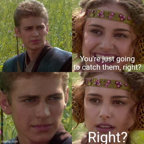 Anakin Padme 4 Panel | You're just going to catch them, right? Right? | image tagged in anakin padme 4 panel | made w/ Imgflip meme maker