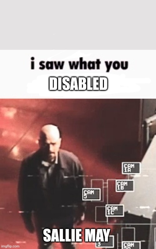 i saw what you deleted | DISABLED; SALLIE MAY | image tagged in i saw what you deleted | made w/ Imgflip meme maker
