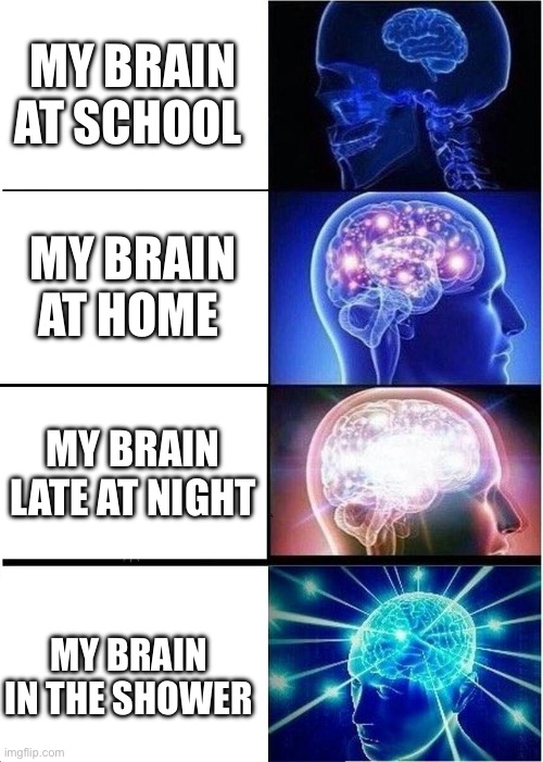Expanding Brain Meme | MY BRAIN AT SCHOOL; MY BRAIN AT HOME; MY BRAIN LATE AT NIGHT; MY BRAIN IN THE SHOWER | image tagged in memes,expanding brain | made w/ Imgflip meme maker
