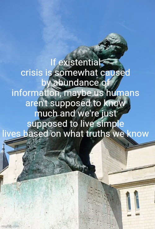 If existential crisis is somewhat caused by abundance of information, maybe us humans aren't supposed to know much and we're just supposed to live simple lives based on what truths we know | made w/ Imgflip meme maker