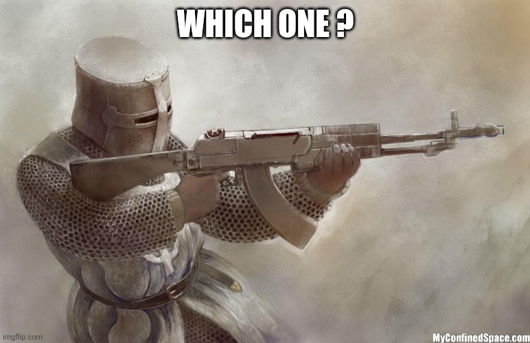 crusader rifle | WHICH ONE ? | image tagged in crusader rifle | made w/ Imgflip meme maker