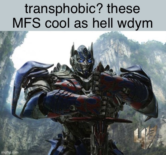 OK, but what actually happened lmao | transphobic? these MFS cool as hell wdym | image tagged in transformers | made w/ Imgflip meme maker