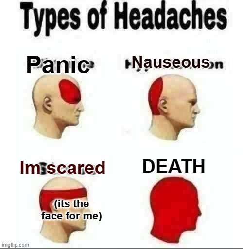 P.I.N.K. | Panic; Nauseous; DEATH; Im scared; (its the face for me) | image tagged in types of headaches meme | made w/ Imgflip meme maker