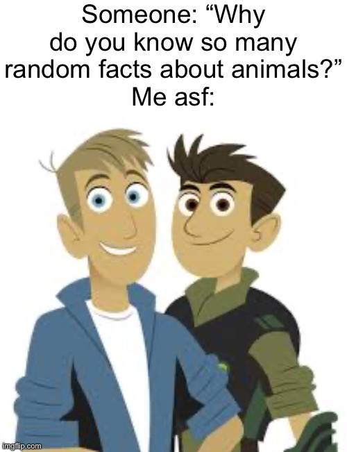 My childhood right here | Someone: “Why do you know so many random facts about animals?”
Me asf: | made w/ Imgflip meme maker