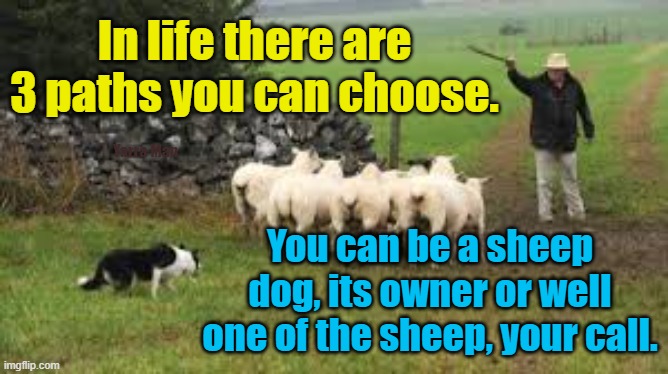 Sheep dog owner, sheep and sheep dogs. | In life there are 3 paths you can choose. Yarra Man; You can be a sheep dog, its owner or well one of the sheep, your call. | image tagged in life lessons,on your knees,progressive,thinker,eyes wide shut,zombie | made w/ Imgflip meme maker