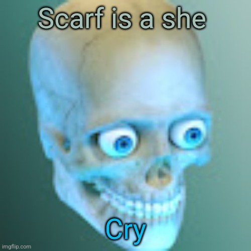 Youtube pfp | Scarf is a she; Cry | image tagged in youtube pfp | made w/ Imgflip meme maker