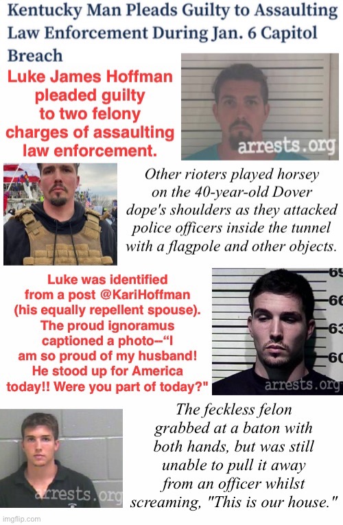Wife Is Even Dumber | image tagged in assault,domestic terrorist,tuff mouse when in a crowd,spouse is a louse,treason | made w/ Imgflip meme maker