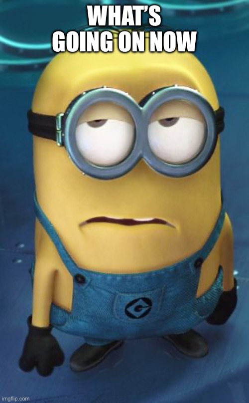 Minion Eye Roll | WHAT’S GOING ON NOW | image tagged in minion eye roll | made w/ Imgflip meme maker
