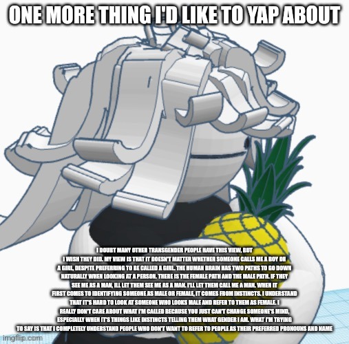 Yapping level catastrophic | ONE MORE THING I'D LIKE TO YAP ABOUT; I DOUBT MANY OTHER TRANSGENDER PEOPLE HAVE THIS VIEW, BUT I WISH THEY DID. MY VIEW IS THAT IT DOESN'T MATTER WHETHER SOMEONE CALLS ME A BOY OR A GIRL, DESPITE PREFERRING TO BE CALLED A GIRL. THE HUMAN BRAIN HAS TWO PATHS TO GO DOWN NATURALLY WHEN LOOKING AT A PERSON. THERE IS THE FEMALE PATH AND THE MALE PATH. IF THEY SEE ME AS A MAN, ILL LET THEM SEE ME AS A MAN. I'LL LET THEM CALL ME A MAN. WHEN IT FIRST COMES TO IDENTIFYING SOMEONE AS MALE OR FEMALE, IT COMES FROM INSTINCTS. I UNDERSTAND THAT IT'S HARD TO LOOK AT SOMEONE WHO LOOKS MALE AND REFER TO THEM AS FEMALE. I REALLY DON'T CARE ABOUT WHAT I'M CALLED BECAUSE YOU JUST CAN'T CHANGE SOMEONE'S MIND, ESPECIALLY WHEN IT'S THINGS LIKE INSTINCTS TELLING THEM WHAT GENDER I AM. WHAT I'M TRYING TO SAY IS THAT I COMPLETELY UNDERSTAND PEOPLE WHO DON'T WANT TO REFER TO PEOPLE AS THEIR PREFERRED PRONOUNS AND NAME | made w/ Imgflip meme maker