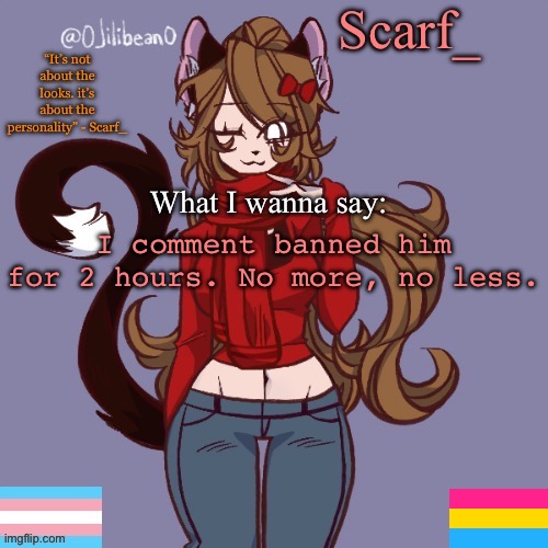 Scarf_ Announcement Template | I comment banned him for 2 hours. No more, no less. | image tagged in scarf_ announcement template | made w/ Imgflip meme maker