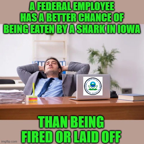 We need to randomly fire 1/20 every year..,spread the love we suffer | A FEDERAL EMPLOYEE HAS A BETTER CHANCE OF BEING EATEN BY A SHARK IN IOWA; THAN BEING FIRED OR LAID OFF | image tagged in democrats | made w/ Imgflip meme maker