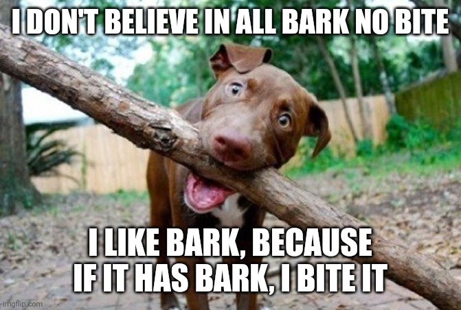 dog stick | I DON'T BELIEVE IN ALL BARK NO BITE; I LIKE BARK, BECAUSE IF IT HAS BARK, I BITE IT | image tagged in dog stick | made w/ Imgflip meme maker