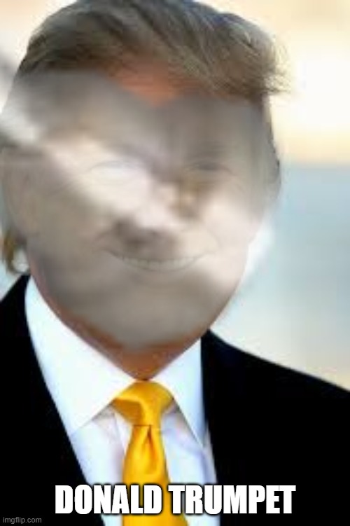Donald Trumpet | DONALD TRUMPET | image tagged in donald trump,trumpet,instruments,president,president trump | made w/ Imgflip meme maker