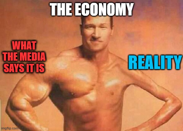 Illusions & Tricks | THE ECONOMY; WHAT THE MEDIA SAYS IT IS; REALITY | image tagged in weak | made w/ Imgflip meme maker