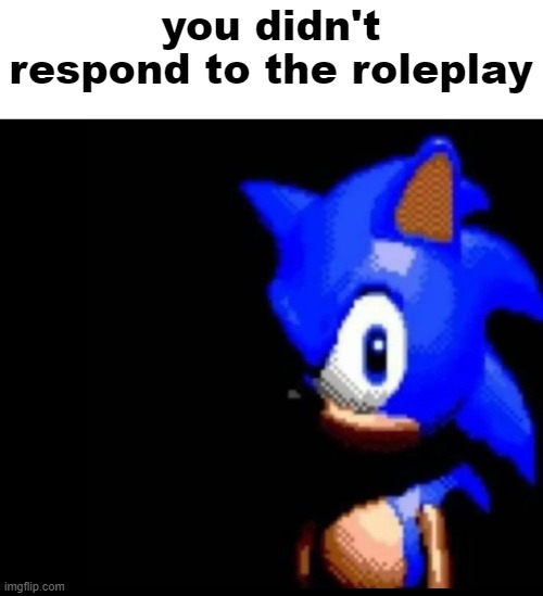 Sonic stares | you didn't respond to the roleplay | image tagged in sonic stares | made w/ Imgflip meme maker