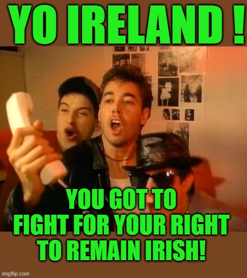 Your leaders are selling you down the drain wake up | YO IRELAND ! YOU GOT TO FIGHT FOR YOUR RIGHT TO REMAIN IRISH! | image tagged in beastie boys,ireland,islamic state | made w/ Imgflip meme maker