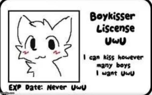 who tf made this template lmao | image tagged in boy kisser license | made w/ Imgflip meme maker