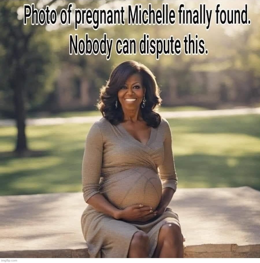 Basketball, anyone? | image tagged in basketball,basket of deplorables,deplorable,moochelle,michelle obama,michael lavaughn robinson obama | made w/ Imgflip meme maker