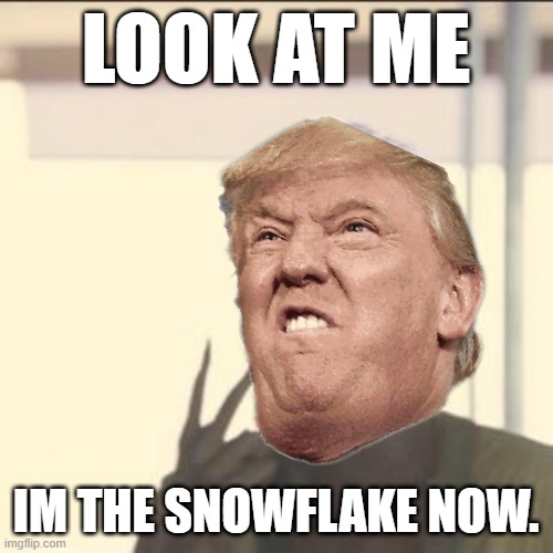 "iT's UnFaIr!1!" | LOOK AT ME; IM THE SNOWFLAKE NOW. | image tagged in memes,look at me,snowflake,trump,benedict donald | made w/ Imgflip meme maker