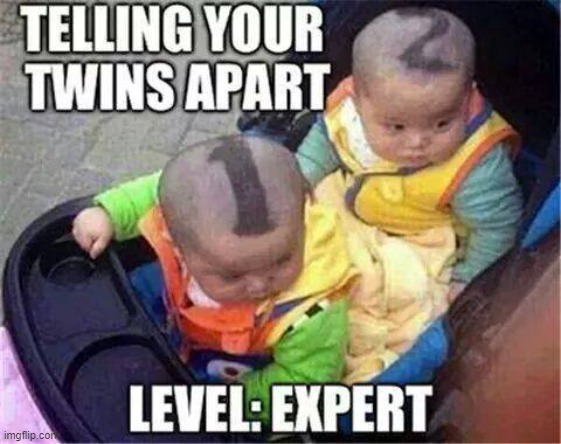 Charlie Chan Solve Problem: #1 Son & #2 Son | image tagged in vince vance,twins,asian babies,level expert,memes,cute baby | made w/ Imgflip meme maker