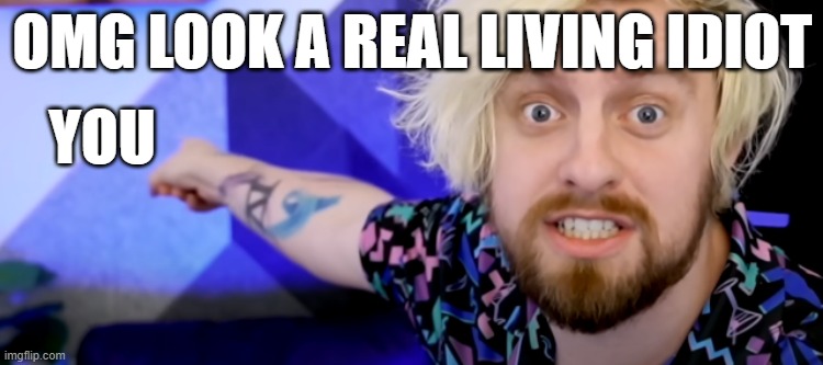 omg a real one | OMG LOOK A REAL LIVING IDIOT; YOU | image tagged in idk | made w/ Imgflip meme maker