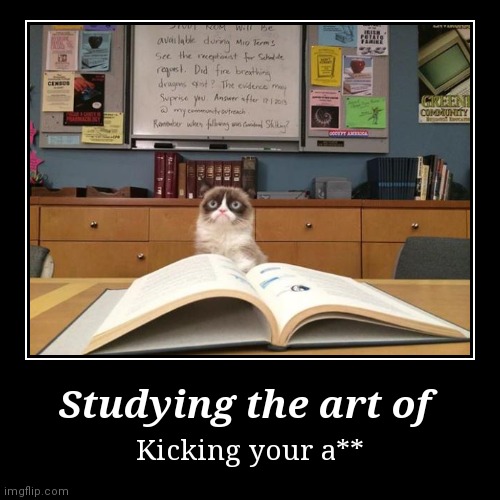 Studying the art of | Kicking your a** | image tagged in funny,demotivationals | made w/ Imgflip demotivational maker